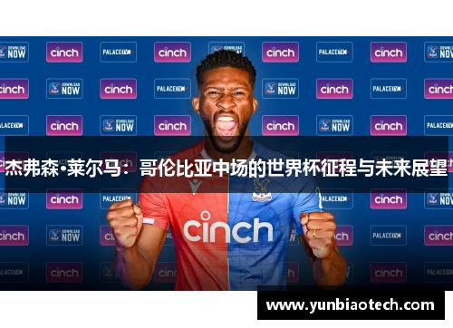 杰弗森·莱尔马：哥伦比亚中场的世界杯征程与未来展望