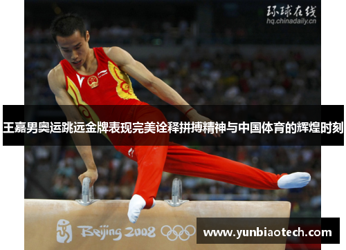 王嘉男奥运跳远金牌表现完美诠释拼搏精神与中国体育的辉煌时刻